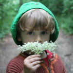 Kind mit Blumen im Wald